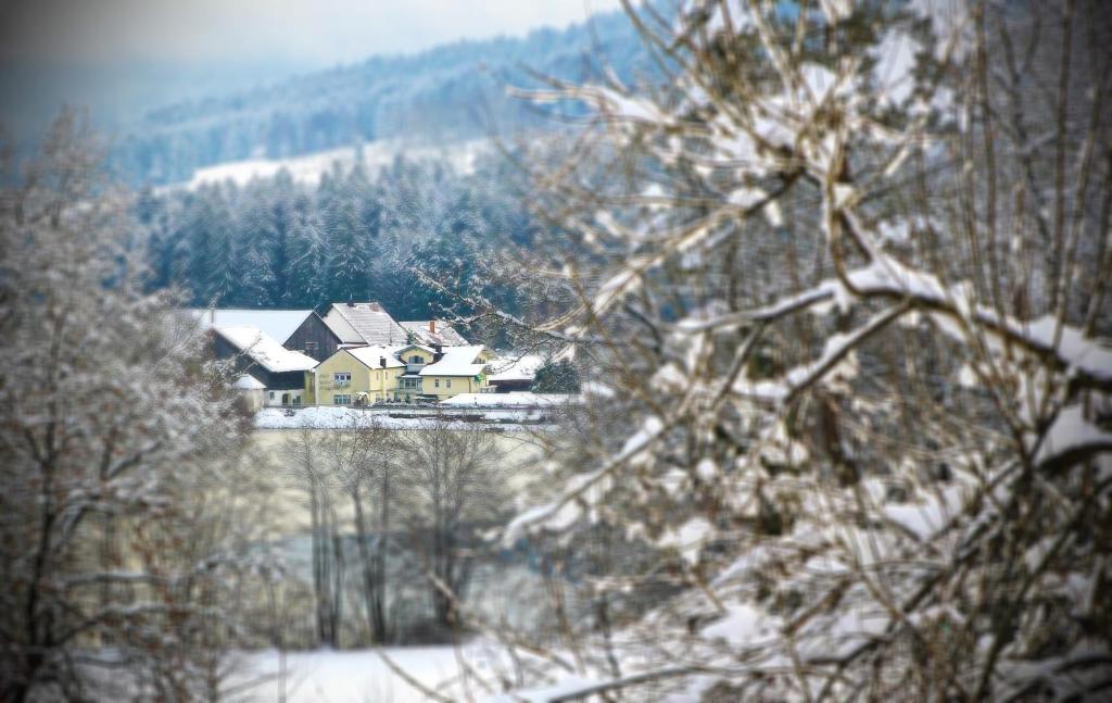 Hotel Der Seehof Hauzenberg Zewnętrze zdjęcie